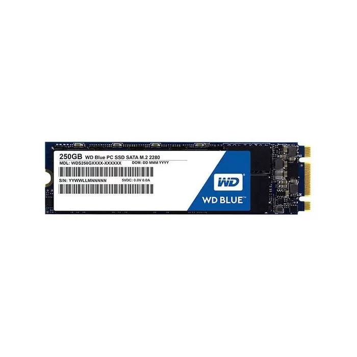 SSD Drive Western Digital Blue M.2 2280 250GB حافظه اس اس دی وسترن دیجیتال