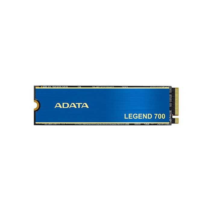 LEGEND 700 M.2 256GB