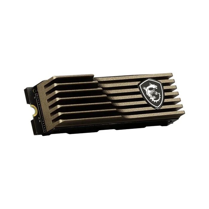 اس اس دی اینترنال ام اس آی ظرفیت 2 ترابایت مدل SPATIUM M460 M.2 HS