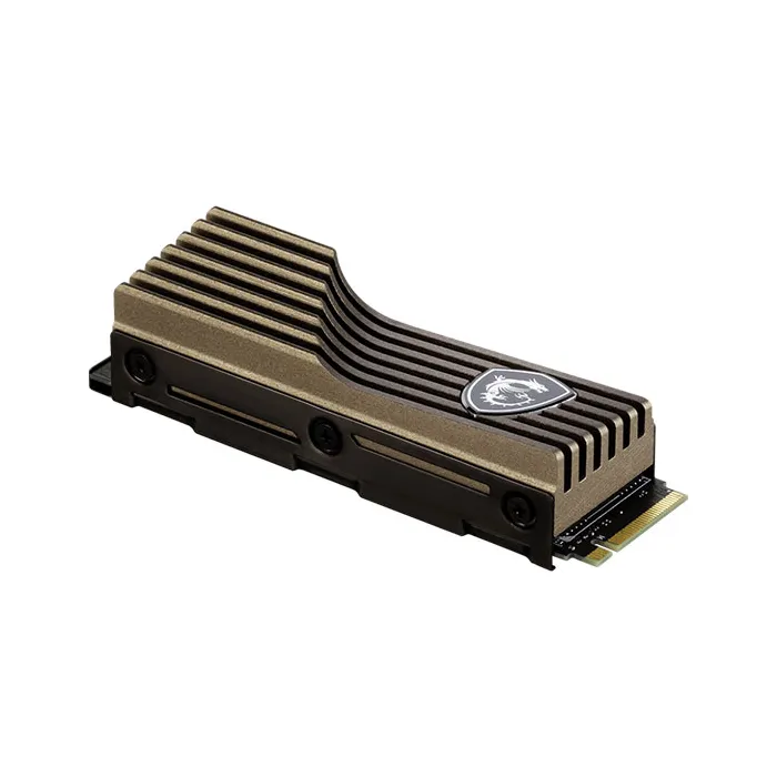 اس اس دی اینترنال ام اس آی ظرفیت 2 ترابایت مدل SPATIUM M460 M.2 HS