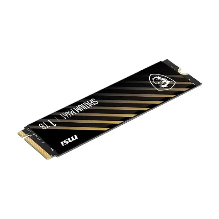 قیمت اس اس دی اینترنال ام اس آی 1 ترابایت SPATIUM M461 M.2