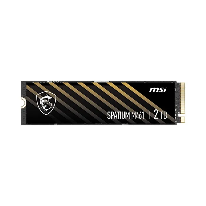 قیمت اس اس دی اینترنال ام اس آی 2 ترابایت SPATIUM M461 M.2