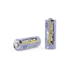 GoldenPower Battery A23G 12V Pack