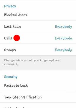 تماس صوتی تلگرام