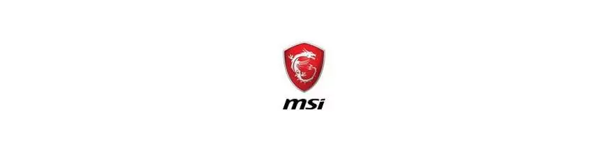 MSI