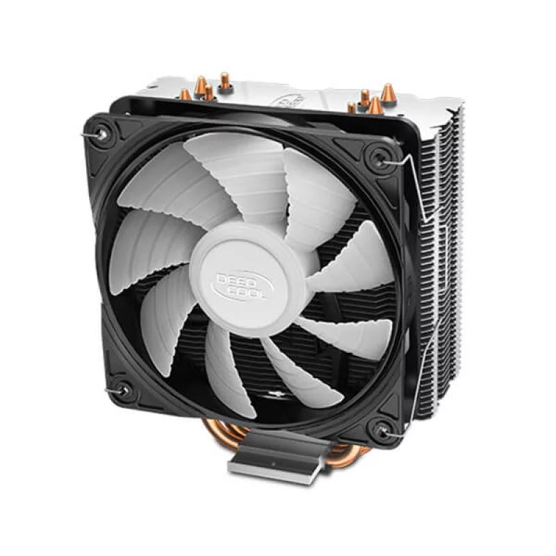 17738-fd9a7c2e.jpg