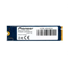اس اس دی اینترنال پایونیر ظرفیت 256 گیگابایت مدل APS-SE20G M.2
