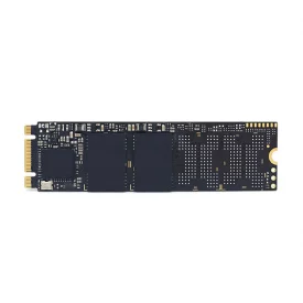 اس اس دی اینترنال پایونیر ظرفیت 256 گیگابایت مدل APS-SE10G M.2