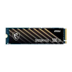 اس اس دی اینترنال ام اس آی ظرفیت 500 گیگابایت مدل SPATIUM M450 M.2