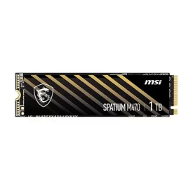 اس اس دی اینترنال ام اس آی ظرفیت 1 ترابایت مدل SPATIUM M470 M.2
