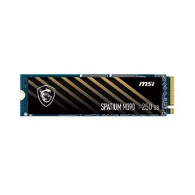 اس اس دی اینترنال ام اس آی ظرفیت 250 گیگابایت مدل SPATIUM M390 M.2