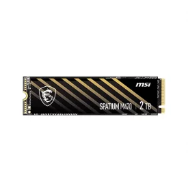 اس اس دی اینترنال ام اس آی ظرفیت 2 ترابایت مدل SPATIUM M470 M.2