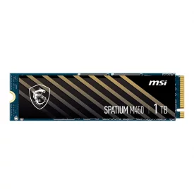 اس اس دی اینترنال ام اس آی ظرفیت 1 ترابایت مدل SPATIUM M450 M.2