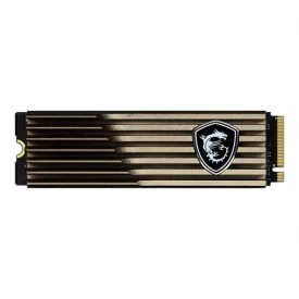 اس اس دی اینترنال ام اس آی ظرفیت 2 ترابایت مدل SPATIUM M460 M.2 HS