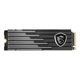اس اس دی اینترنال ام اس آی ظرفیت 2 ترابایت مدل SPATIUM M480 M.2 PLAY
