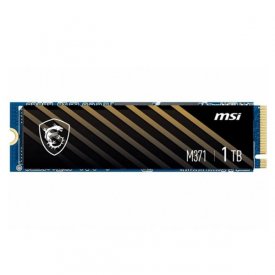 اس اس دی اینترنال ام اس آی ظرفیت 1 ترابایت مدل SPATIUM M371 M.2