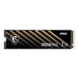 اس اس دی اینترنال ام اس آی ظرفیت 2 ترابایت مدل SPATIUM M460 M.2