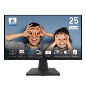 مانیتور ام اس آی سایز 25 اینچ مدل PRO MP251