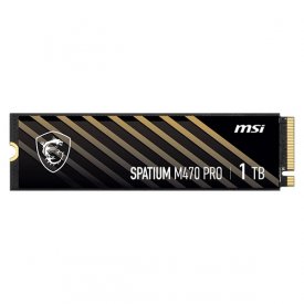 اس اس دی اینترنال ام اس آی ظرفیت 1 ترابایت مدل SPATIUM M470 PRO M.2