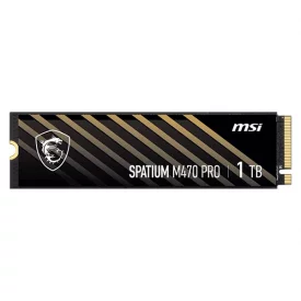 اس اس دی اینترنال ام اس آی ظرفیت 1 ترابایت مدل SPATIUM M470 PRO M.2
