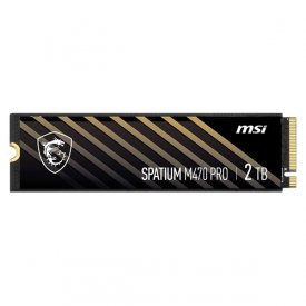 اس اس دی اینترنال ام اس آی ظرفیت 2 ترابایت مدل SPATIUM M470 PRO M.2