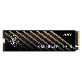 اس اس دی اینترنال ام اس آی ظرفیت 2 ترابایت مدل SPATIUM M470 PRO M.2