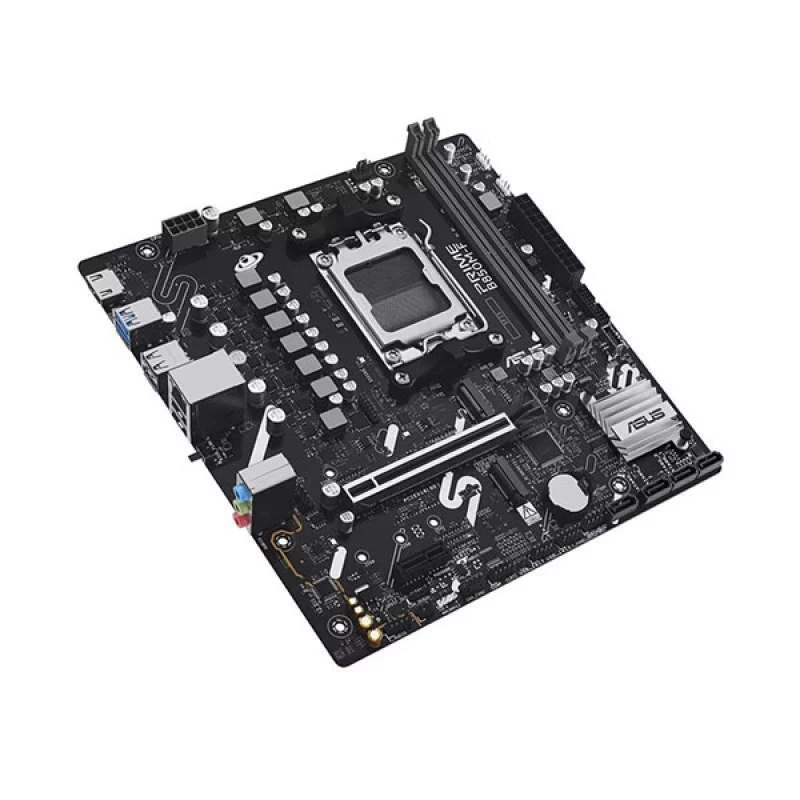 28650-8daeb2ff.jpg